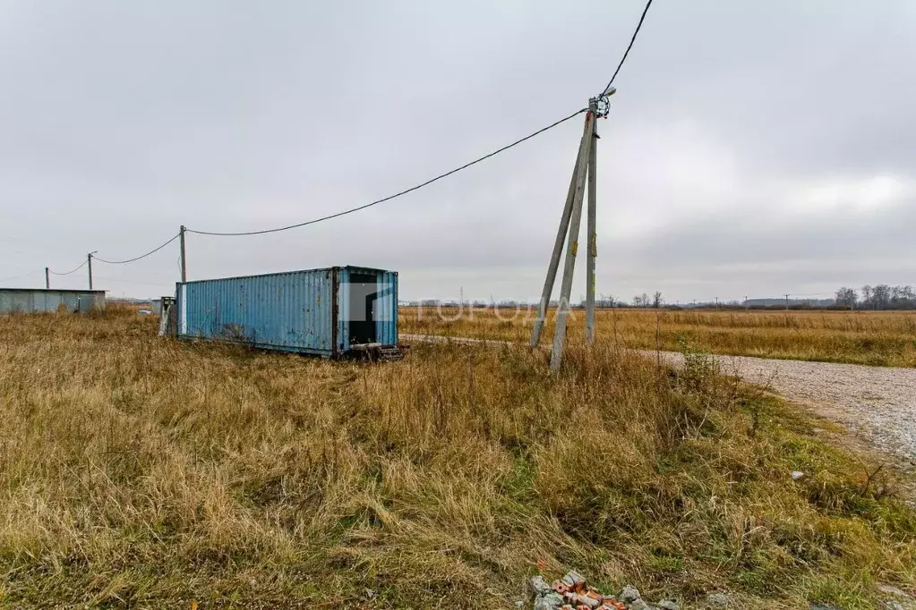 Участок в Новосибирская область, Новосибирский район, Толмачевский ... - Фото 1