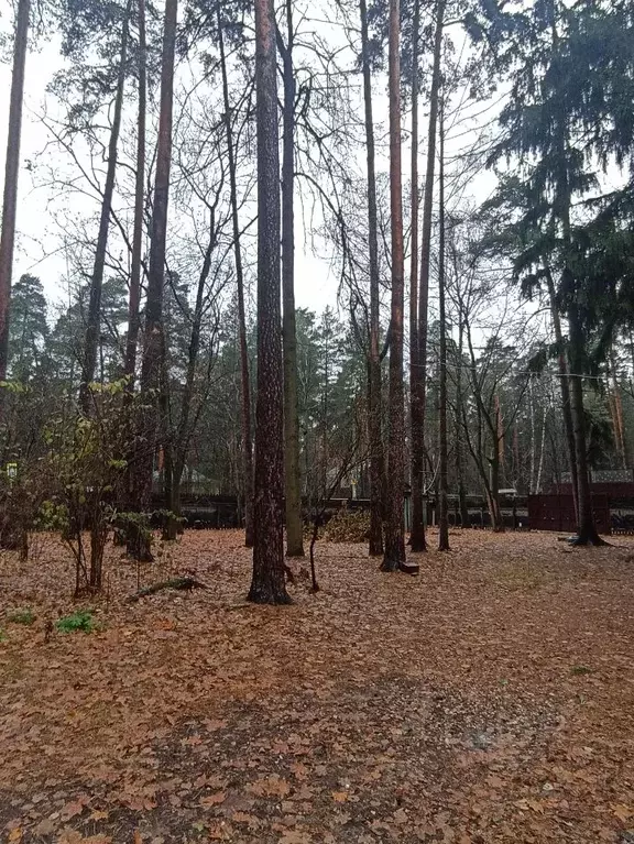 Дом в Московская область, Раменский городской округ, Быково рп ул. ... - Фото 1