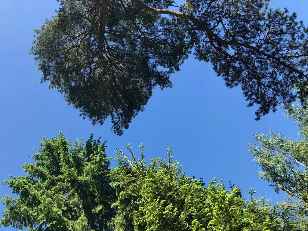 Коттедж в Московская область, Наро-Фоминский городской округ, ... - Фото 2