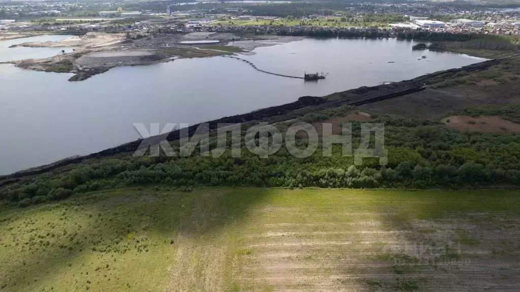 Участок в Новосибирская область, Новосибирский район, Кудряшовский дп  ... - Фото 1
