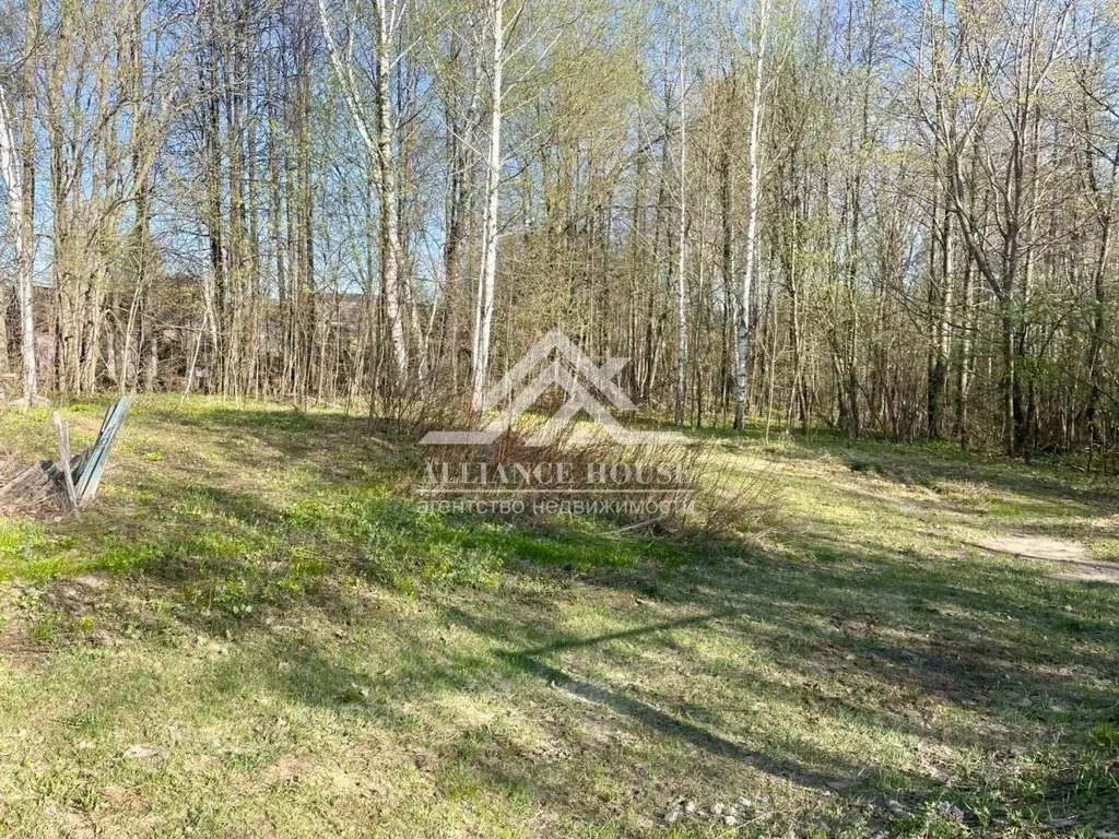 Участок в Татарстан, с. Пестрецы  (11.6 сот.) - Фото 2