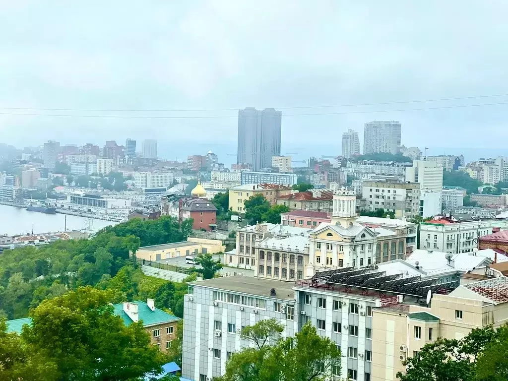 Студия Приморский край, Владивосток Некрасовский пер., 24 (27.0 м) - Фото 1