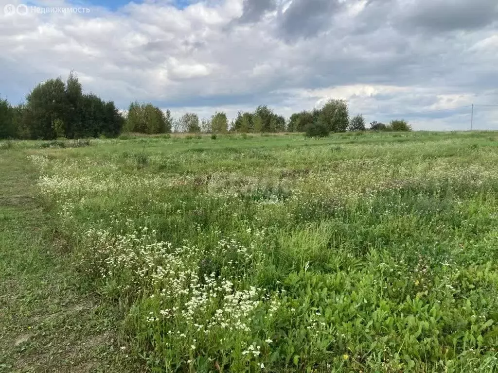 Участок в Московская область, городской округ Коломна, село Мячково ... - Фото 1