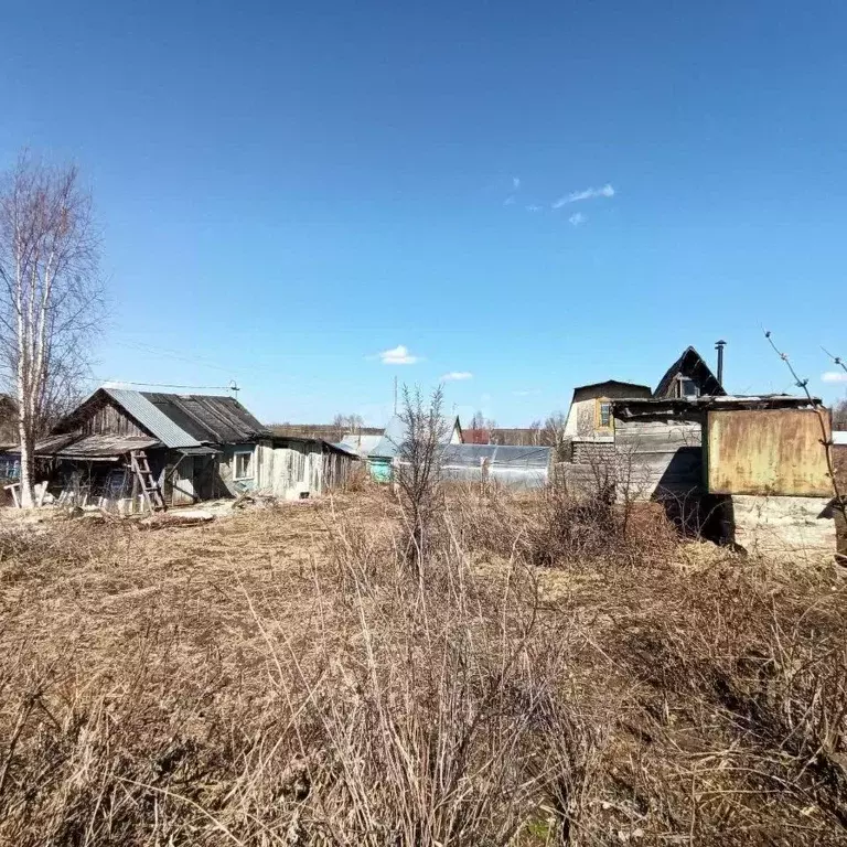 Участок в Пермский край, Очерский городской округ, д. Березники 31 ... - Фото 1