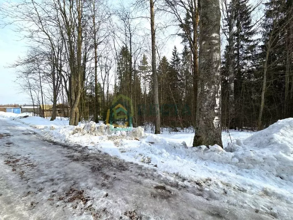 Участок в деревня Лемболово, Магазинная улица, 26 (10 м) - Фото 2