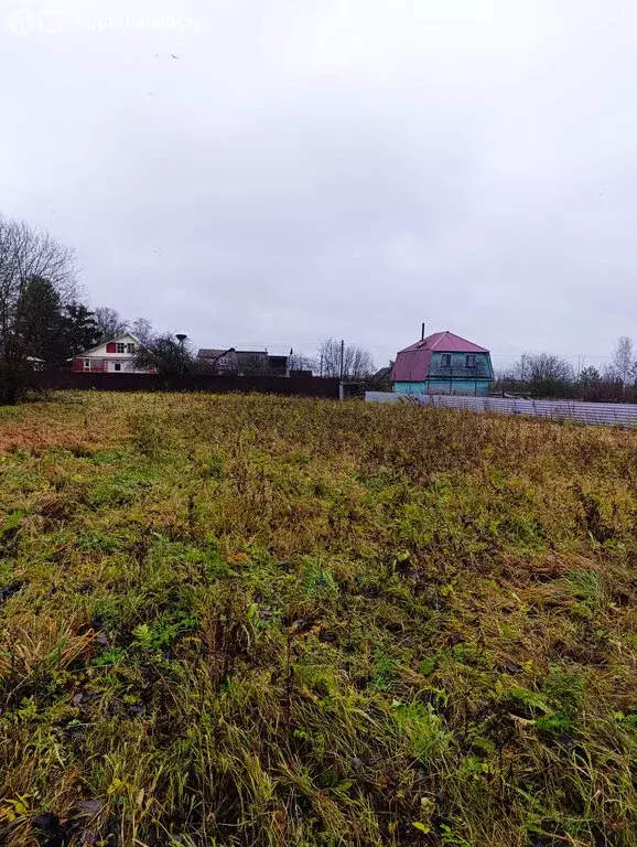 Участок в Ленинградская область, Гатчинский муниципальный округ, ... - Фото 1