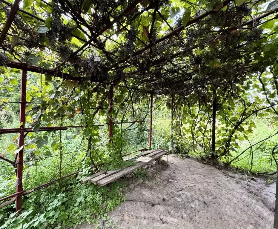 Дом в Волгоградская область, Волгоград Мичуринец СНТ, № 5 массив,  (20 ... - Фото 1