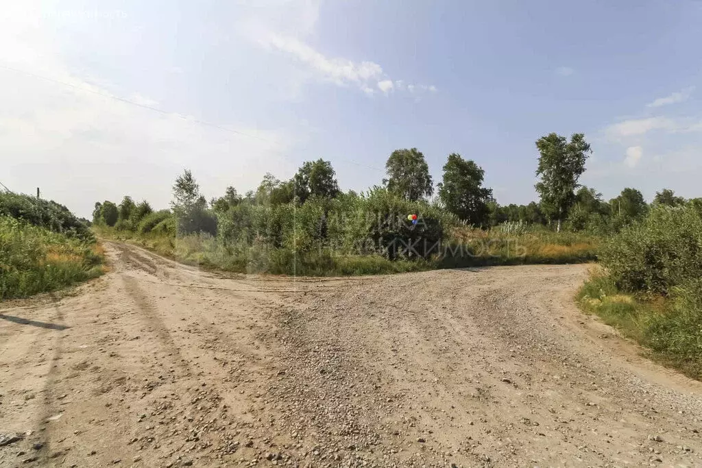 Участок в Нижнетавдинский район, село Тюнево (8.03 м) - Фото 1