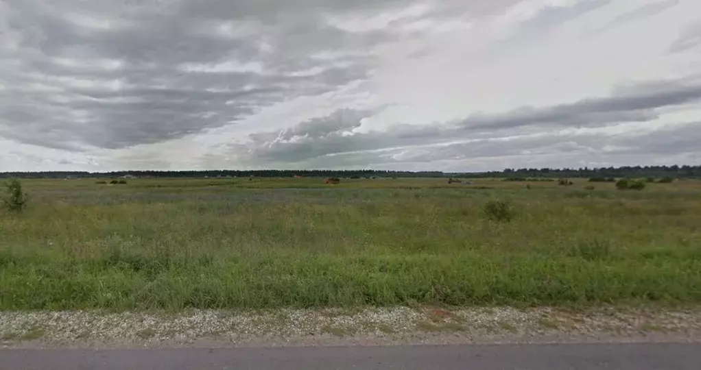 Участок в Ленинградская область, Гатчинский муниципальный округ, с. ... - Фото 1