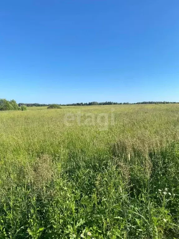Участок в Костромская область, Красное-на-Волге пгт, пос. Птицефабрика ... - Фото 0