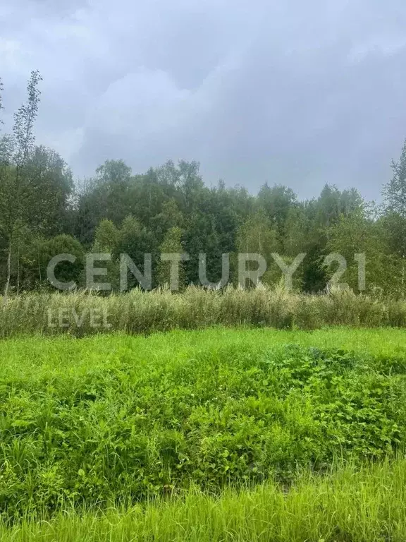 Участок в Калужская область, Боровский муниципальный округ, Ворсино ... - Фото 2