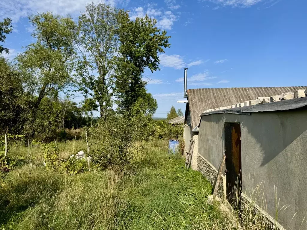 Помещение свободного назначения в Липецкая область, Задонский район, ... - Фото 2