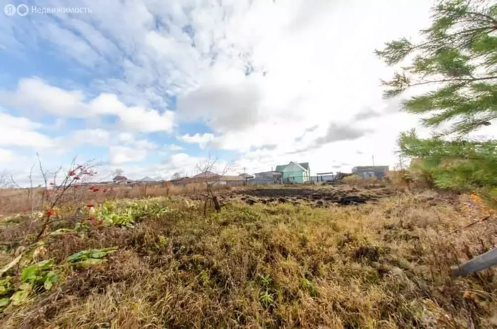 Участок в Курганская область, Шадринский муниципальный округ, село ... - Фото 1