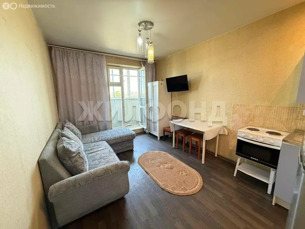 Квартира-студия: Новосибирск, улица Виктора Уса, 9 (19.4 м) - Фото 1