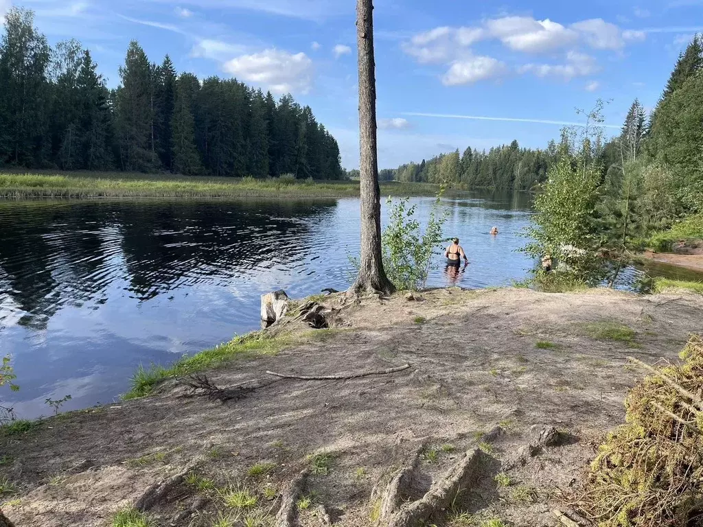 Участок в Ленинградская область, Гатчинский район, Вырица городской ... - Фото 1