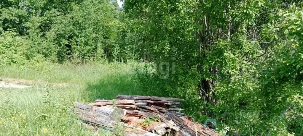 Участок в Ханты-Мансийский АО, Ханты-Мансийск Ясная Поляна СОТ,  (10.0 ... - Фото 1