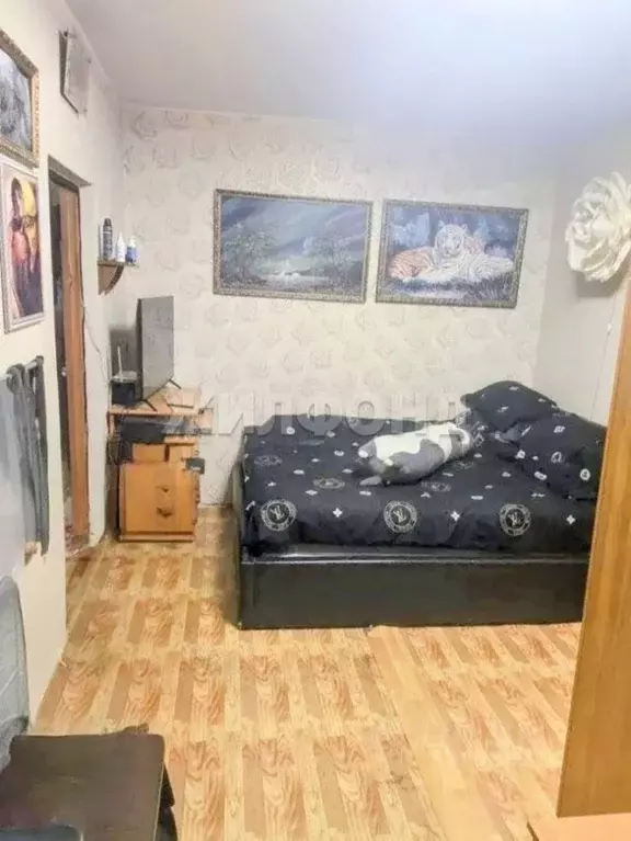 1-к кв. Ставропольский край, Георгиевск ул. Гагарина, 236 (31.0 м) - Фото 1