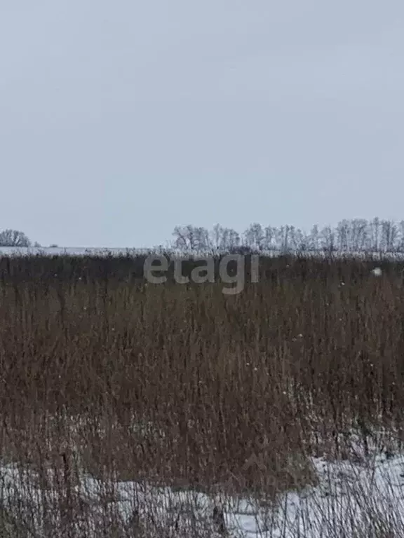 Участок в Белгородская область, Белгородский район, Головинское с/пос, ... - Фото 1
