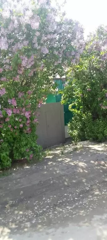 Дом в Вольск, Ульяновская улица, 16А (75.3 м) - Фото 1