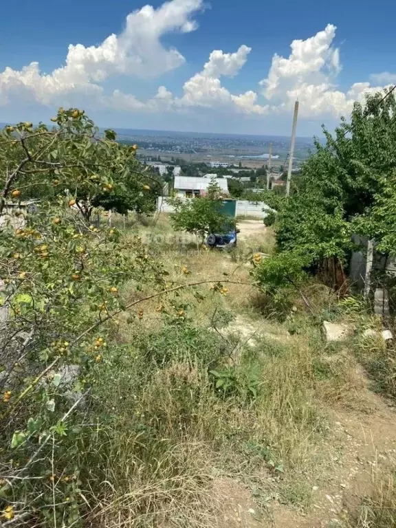 Участок в Крым, Феодосия городской округ, с. Солнечное ул. Клубничная, ... - Фото 1