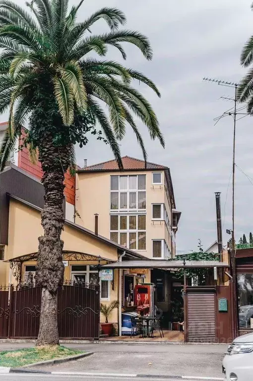 Помещение свободного назначения в Краснодарский край, Сочи ул. Ленина, ... - Фото 1