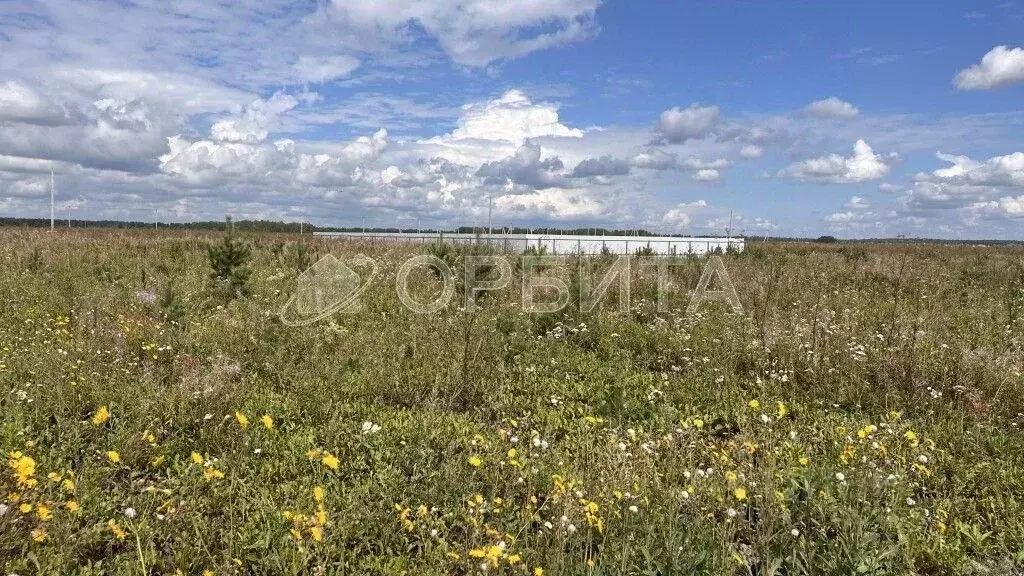 Участок в Тюменская область, Тюменский район, д. Малиновка, Вольные ... - Фото 1