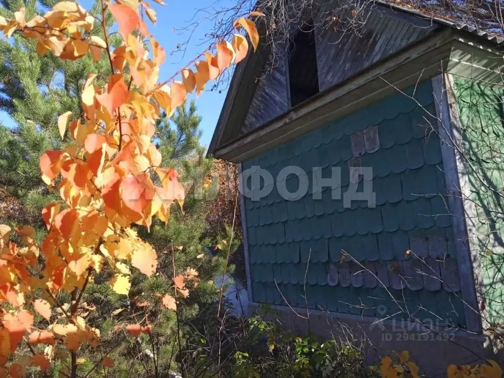 Дом в Хакасия, Абакан Нижняя Согра мкр, ул. Сиреневая (24 м) - Фото 1