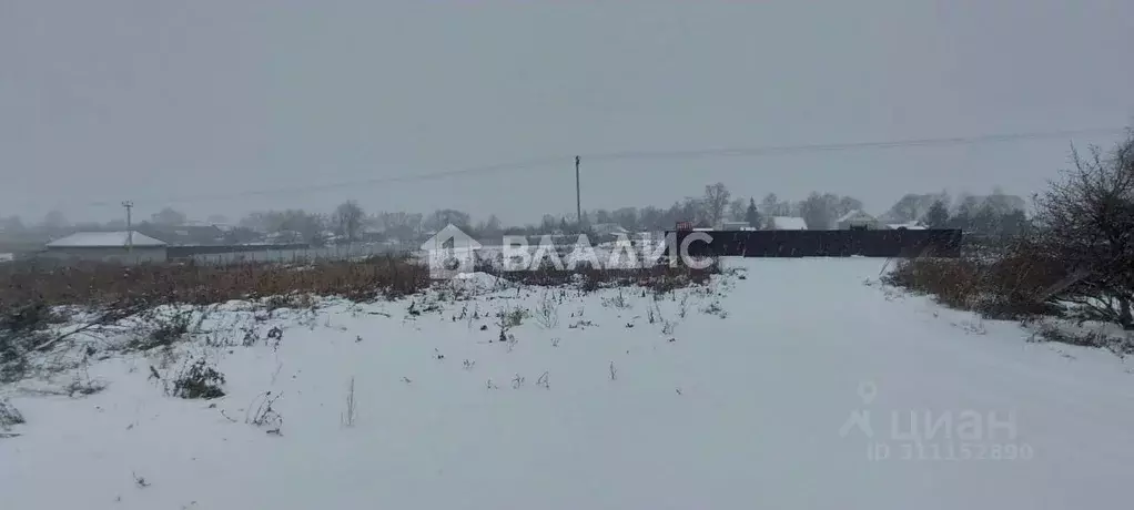 Участок в Владимирская область, Суздальский район, Селецкое ... - Фото 1