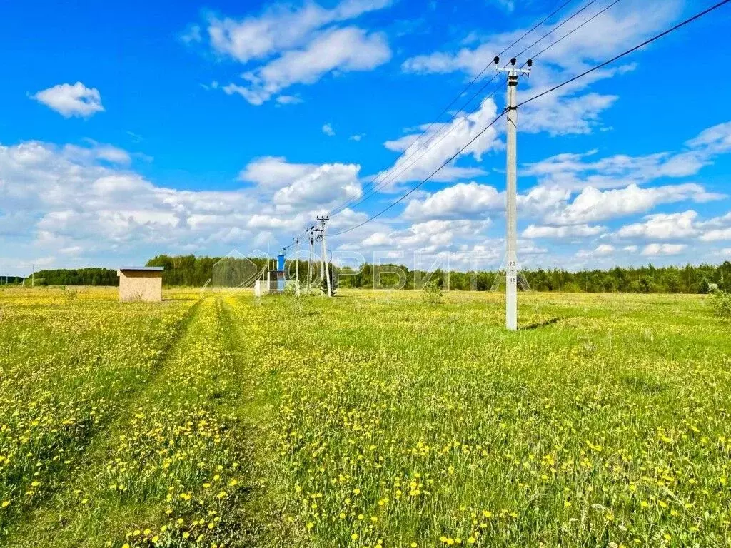 Участок в Тюменская область, Тюменский район, с. Горьковка Сибирская ... - Фото 1