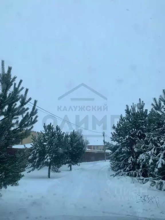 Участок в Калужская область, Перемышльский район, Большие Козлы с/пос, ... - Фото 0