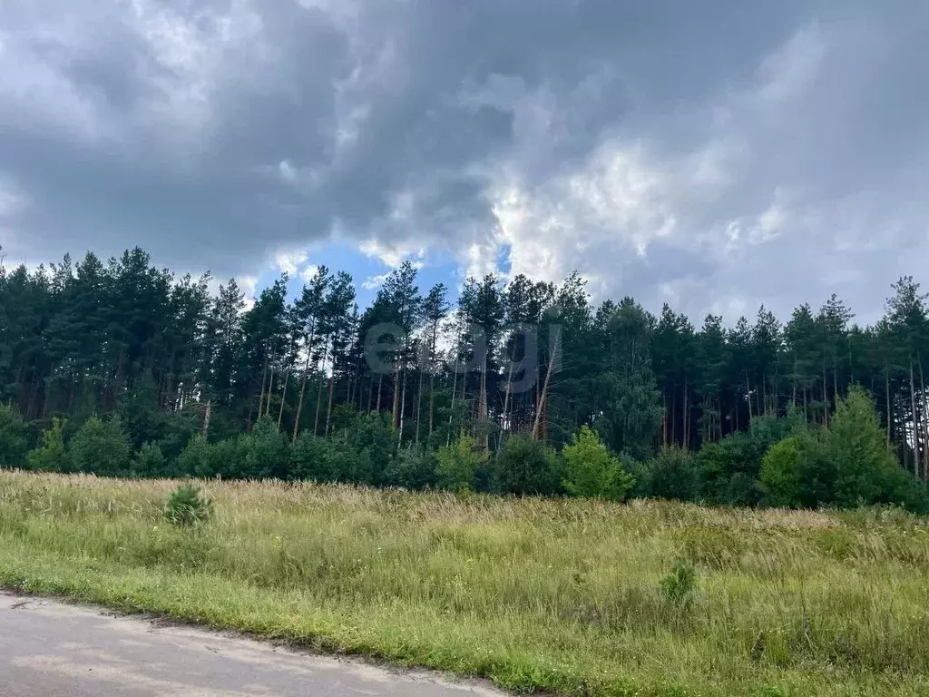 Участок в Тамбовская область, Бондарский муниципальный округ, с. ... - Фото 1