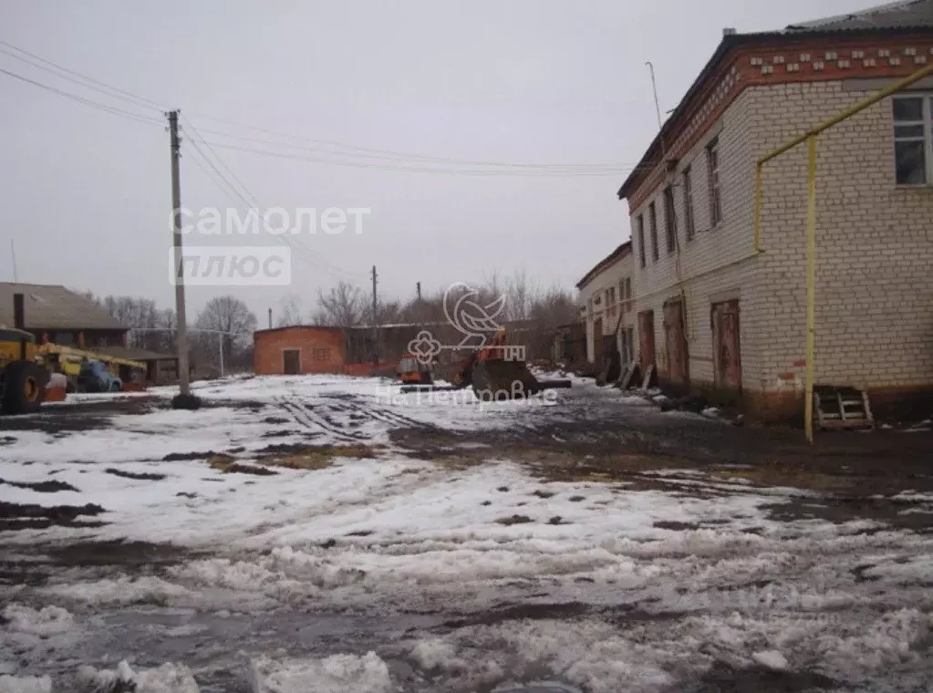 Помещение свободного назначения в Курская область, Черемисиново рп ул. ... - Фото 1