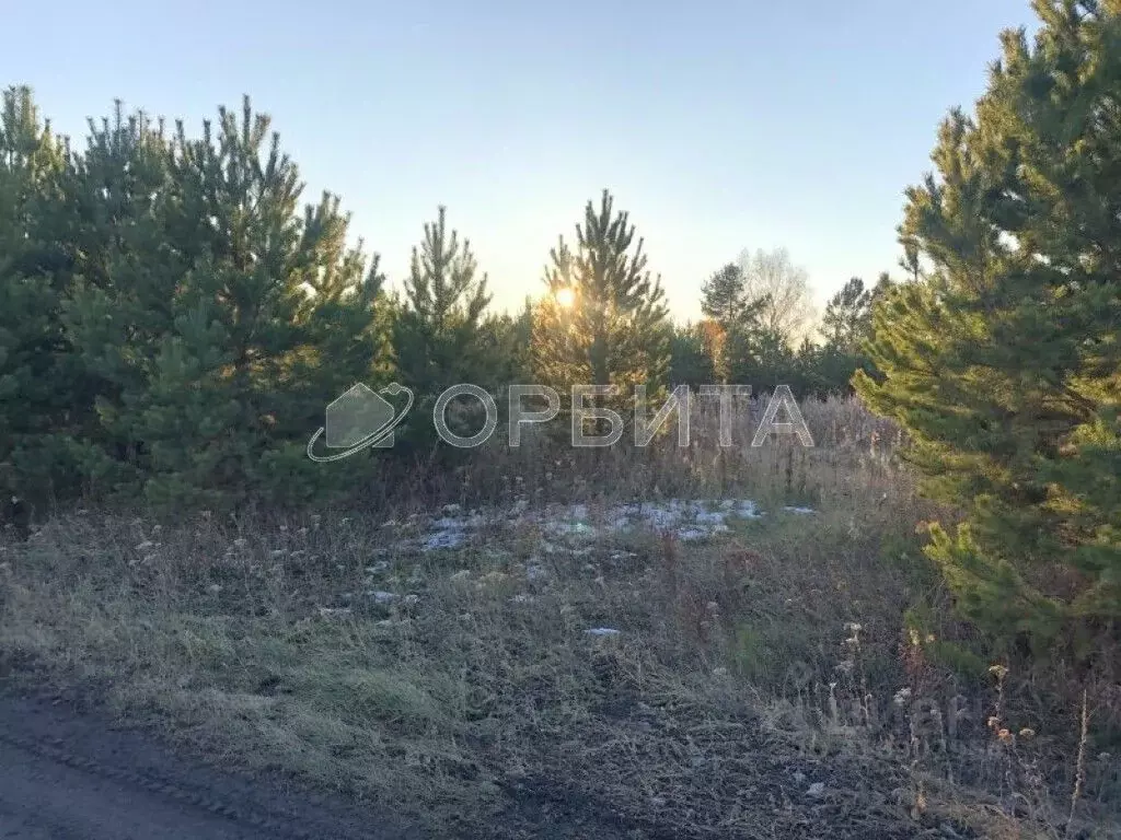 Участок в Тюменская область, Тюменский район, Новокаменский кп ул. ... - Фото 0
