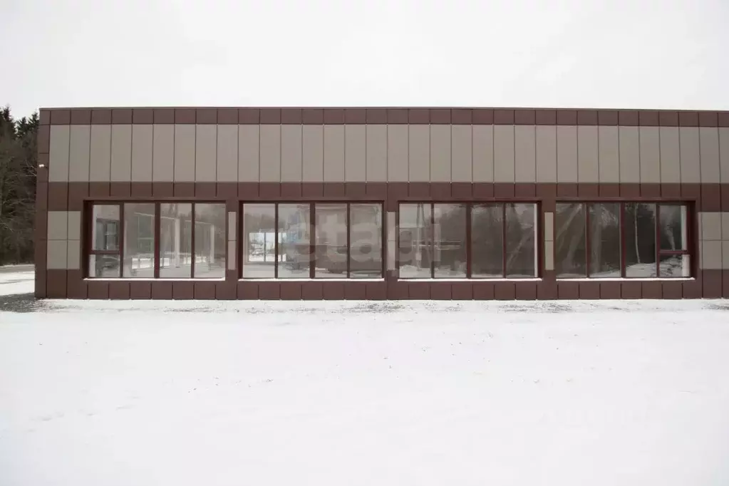 Торговая площадь в Калужская область, Медынь Молодежная ул., 24 (350 ... - Фото 1