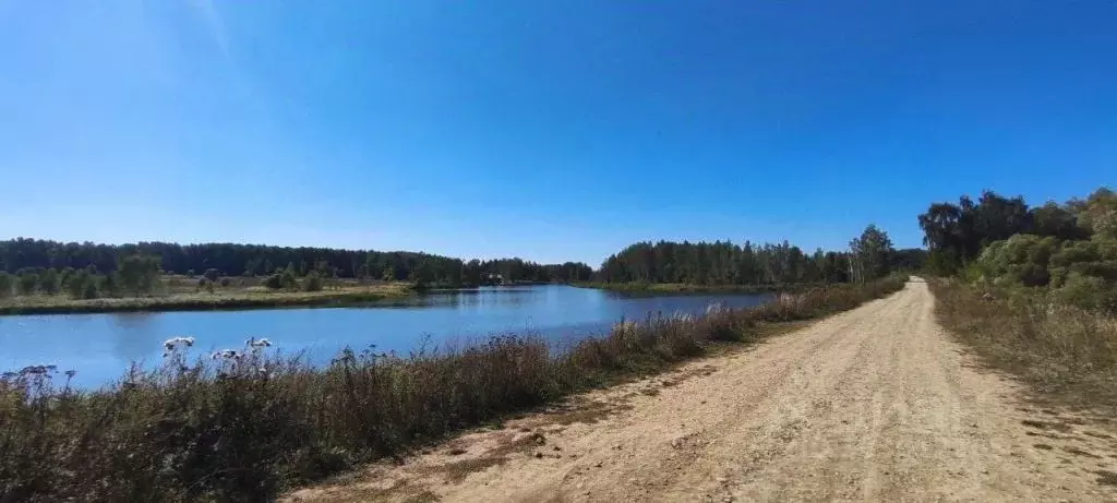 Участок в Тульская область, Ясногорский район, Ревякинское ... - Фото 0