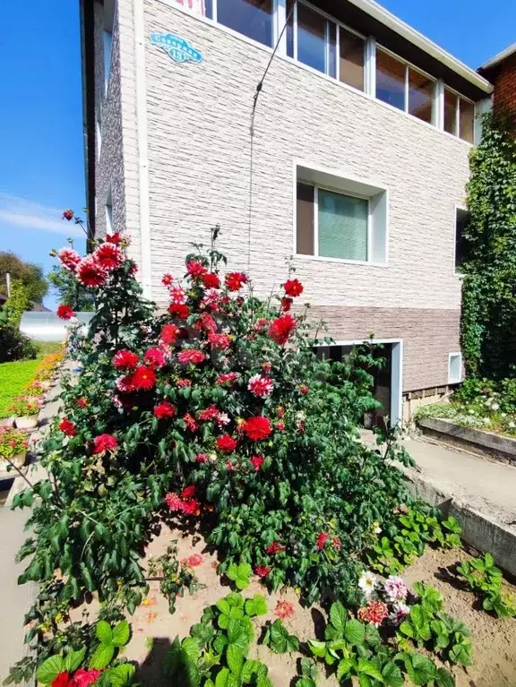 Дом в Амурская область, Благовещенск Северная ул., 13 (256 м) - Фото 1