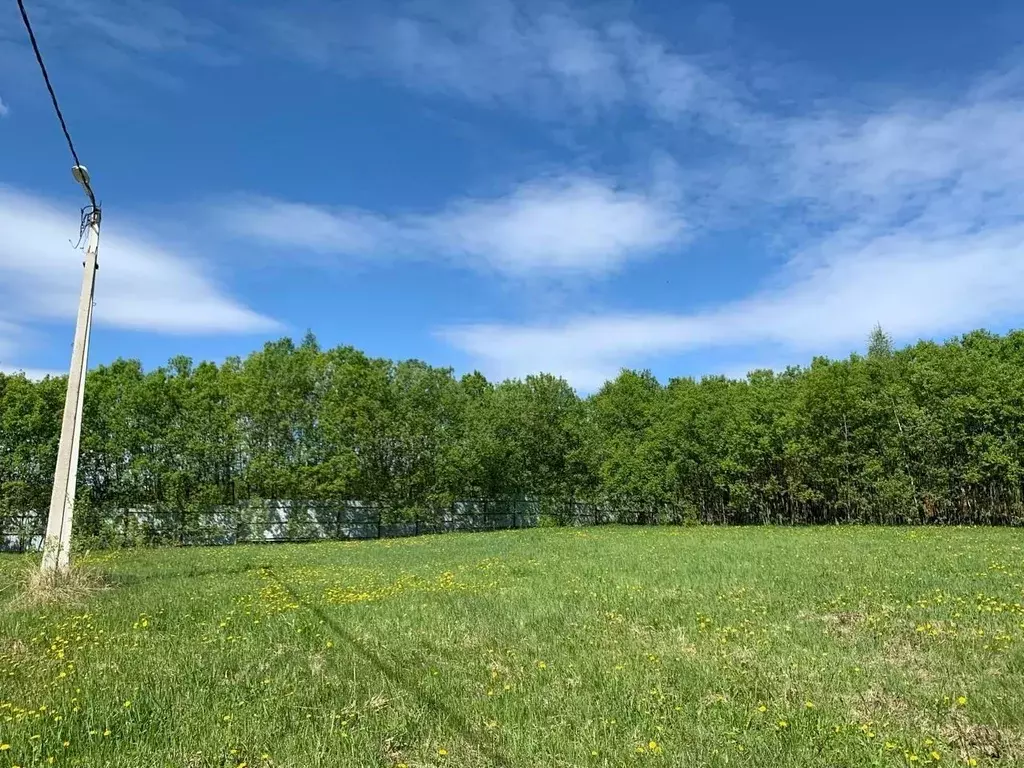 Участок в Калужская область, Тарусский район, Алекино с/пос, Марфино ... - Фото 2