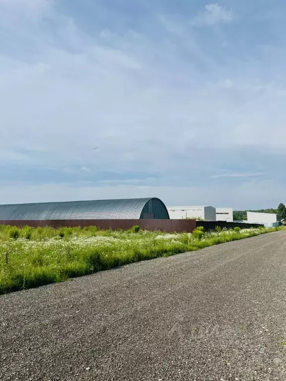 Склад в Московская область, Домодедово городской округ, д. Немцово 12 ... - Фото 1
