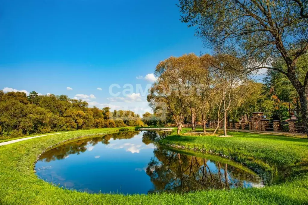 Участок в Московская область, Серпухов городской округ, Берендеево ... - Фото 1