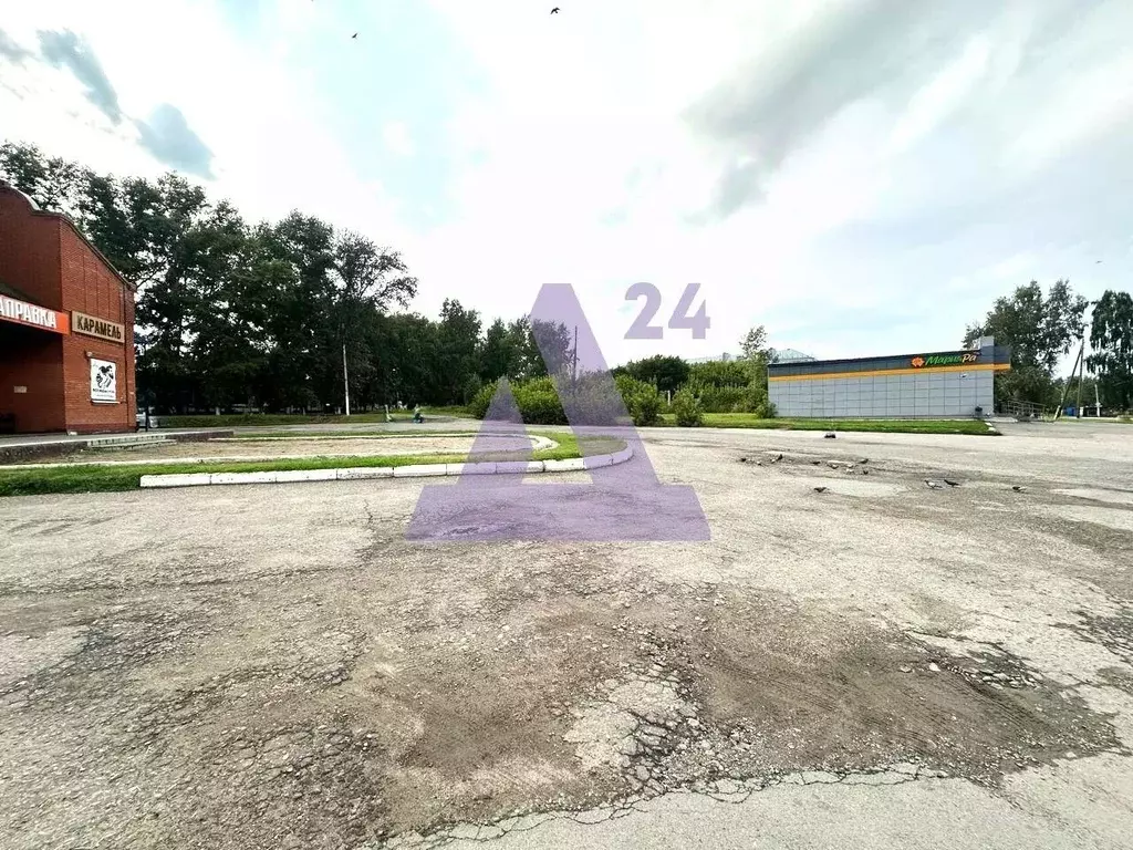 Участок в Алтайский край, Новоалтайск пос. Новогорский, ул. Энгельса ... - Фото 1