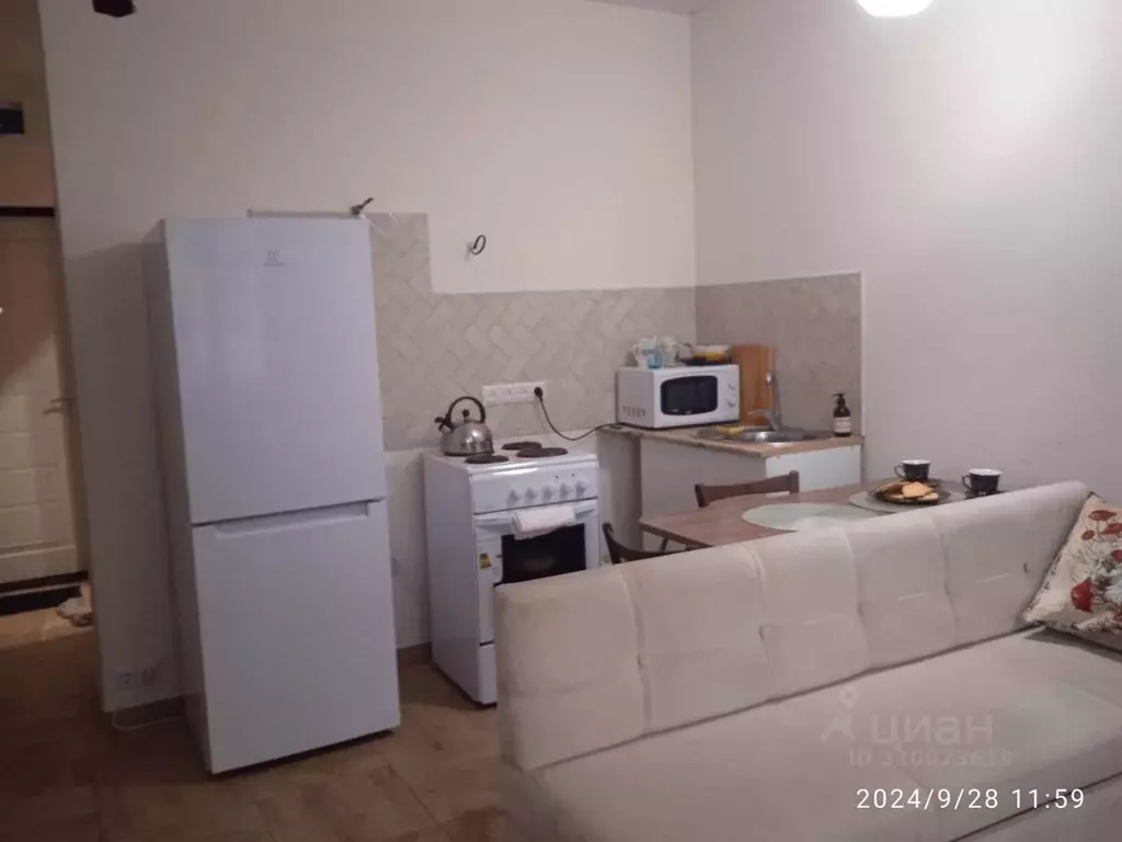 Студия Московская область, Лосино-Петровский ул. Пушкина, 8 (30.0 м) - Фото 2