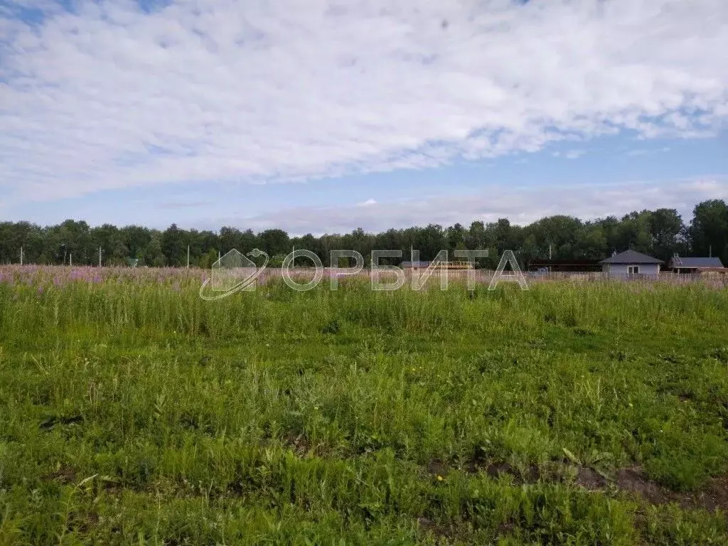 Участок в Тюменская область, Тюменский район, с. Каменка  (40.0 сот.) - Фото 1