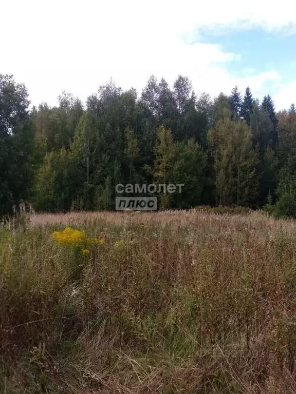 Участок в Вологодская область, Радужное ТСН ул. Розовая (14.0 сот.) - Фото 1