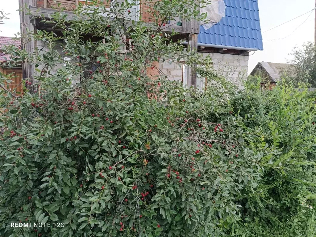 Дом в Омская область, Омск Дары Сибири СНТ, аллея 29-я, 30 (72 м) - Фото 1