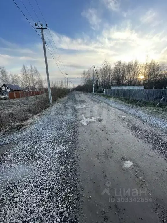 Участок в Вологодская область, Вологда Разлив садоводческое ... - Фото 1