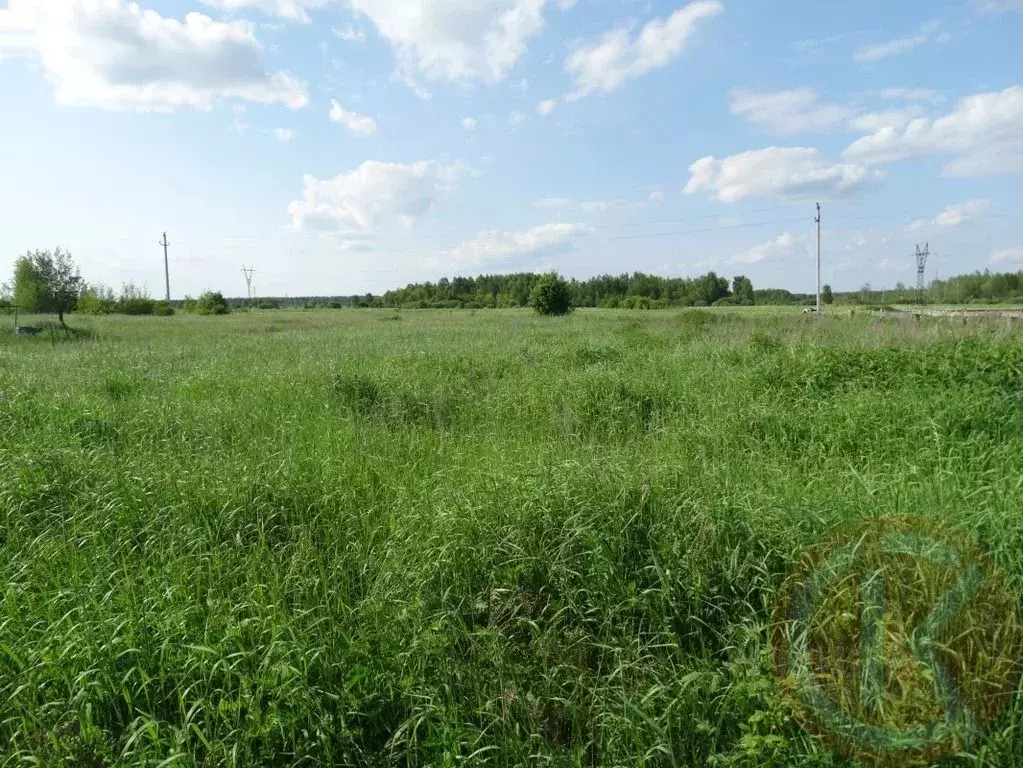 Участок в Крым, Симферопольский район, Трудовское с/пос, с. ... - Фото 2