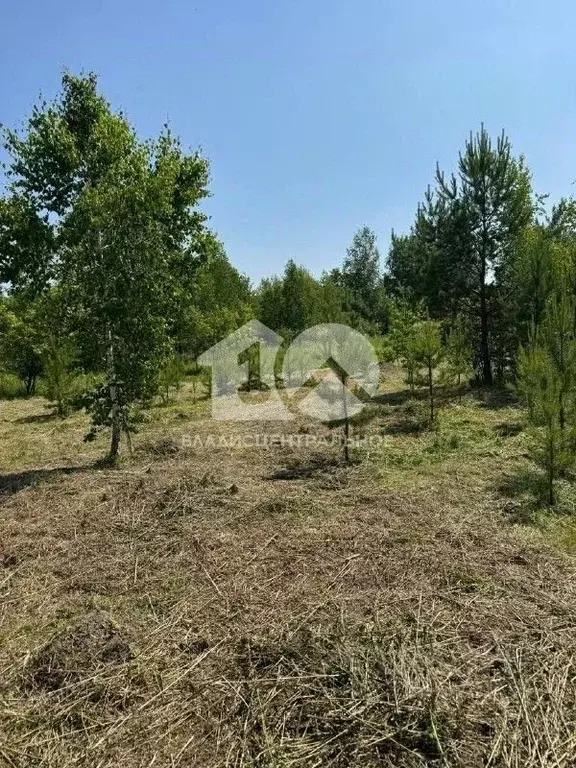 Участок в Новосибирская область, Новосибирский район, Станционный ... - Фото 1