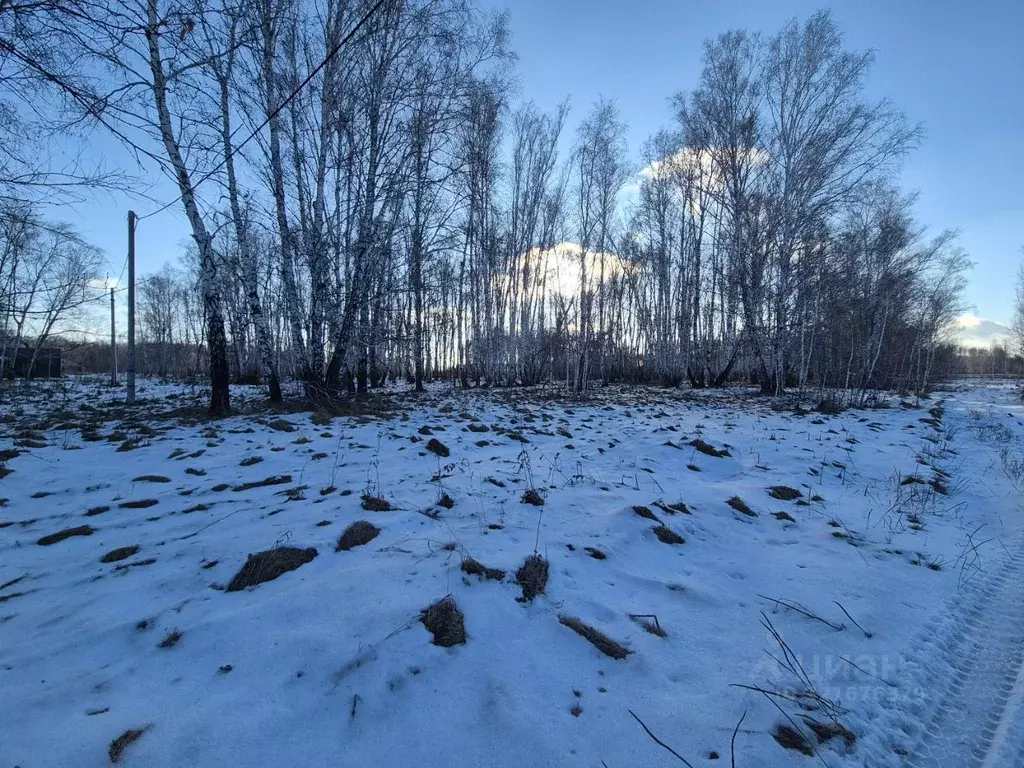 Участок в Омская область, Омский район, Пушкинское с/пос, д. Ракитинка ... - Фото 1