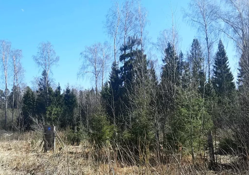 Участок в Московская область, Щелково городской округ, Заозерный СНТ ... - Фото 1