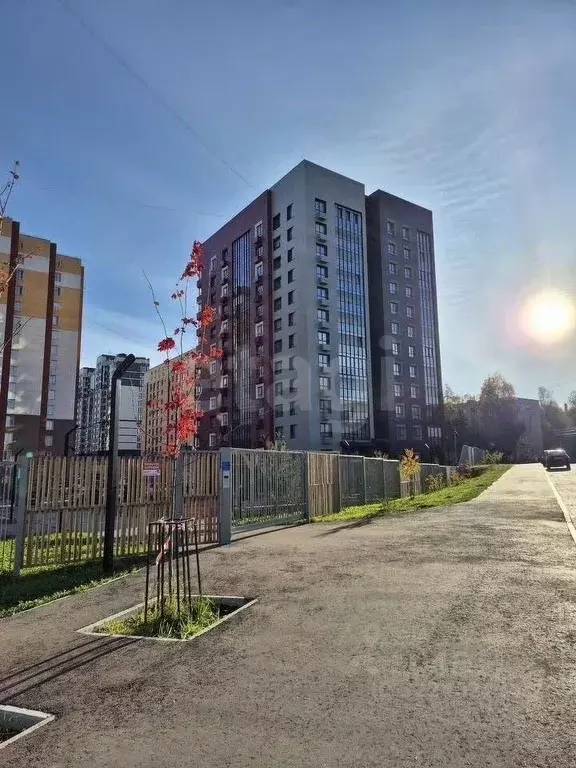 Студия Коми, Сыктывкар ул. Карла Маркса, 165 (28.6 м) - Фото 1